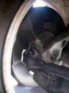 rear oil seal-01