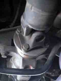 rear oil seal-06