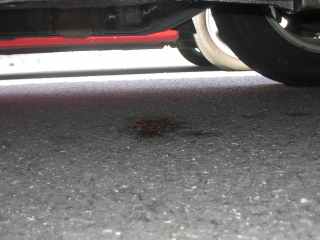 rear oil seal-17
