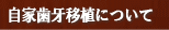 自家歯牙移植について