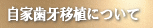 自家歯牙移植について